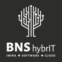 bns hybrit logo image