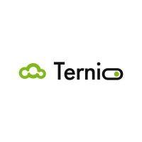 ternio logo image