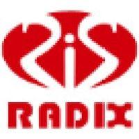 radix info solutions (p) ltd