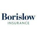 logo of Borislow Insurance