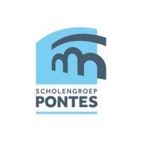 scholengroep pontes logo image