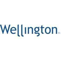 wellington insurance group