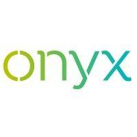 onyx logo image