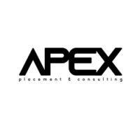 apex placement & consulting logo image