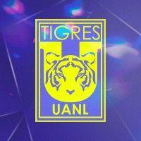 club tigres logo image