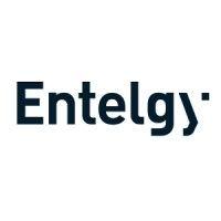 entelgy logo image