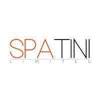 spatini limited logo image