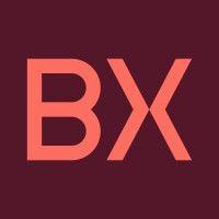 bx logo image