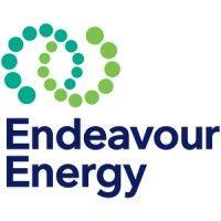 endeavour energy (nsw) logo image