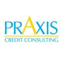 praxis credit consulting logo image