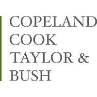 copeland, cook, taylor & bush, p.a. logo image