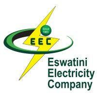 eswatini electricity company logo image