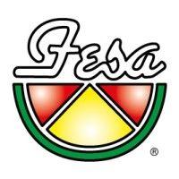 fesa (uk) ltd logo image