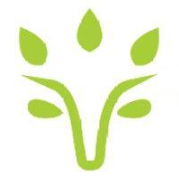 viridios capital logo image