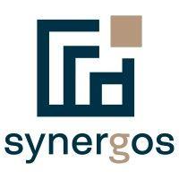 synergos | global management consulting logo image