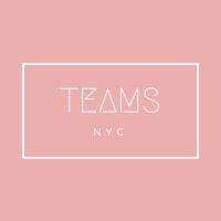 teams nyc logo image