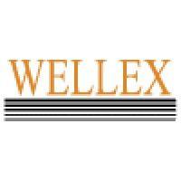 wellex corporation logo image