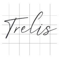 trelis logo image