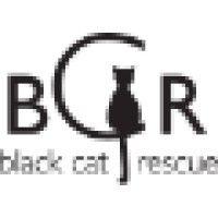 black cat rescue logo image