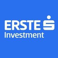 erste investment ltd. logo image