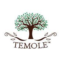 temole snacks logo image