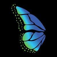 blue monarch management logo image