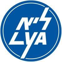 lya engineering hydraulics & pneumatics ltd. logo image