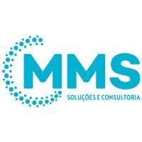 mms soluções e consultoria logo image