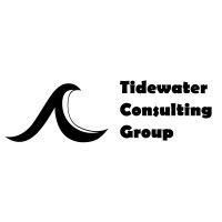 tidewater consulting group logo image