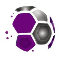 fnv sports logo image