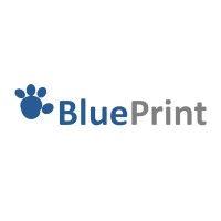 blueprint software logo image