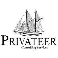 privateer consulting services logo image