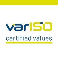 variso logo image