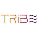 logo of Tribe Studio Empowerment Platform