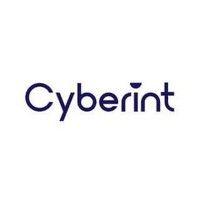 cyberint logo image