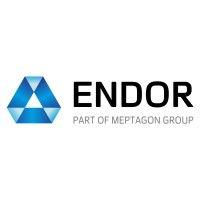 endor systems 2009 ltd logo image