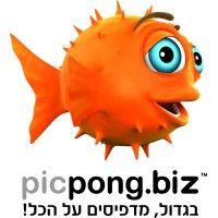 picpong ltd logo image