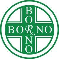 borno pharmacy logo image