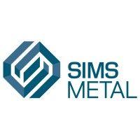 sims metal logo image