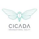 logo of Cicada Organizational Agility