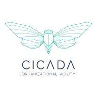 cicada organizational agility logo image