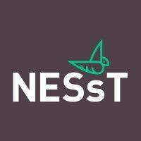 nesst logo image