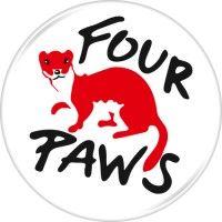 four paws