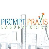 prompt praxis laboratories logo image