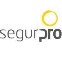 segurpro logo image