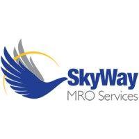 skyway mro