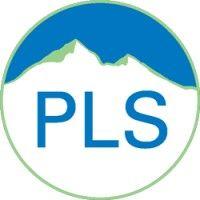 peak learning solutions logo image