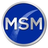 msm group logo image