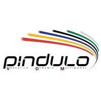 pindulo vdm logo image