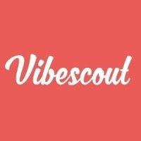 vibescout logo image